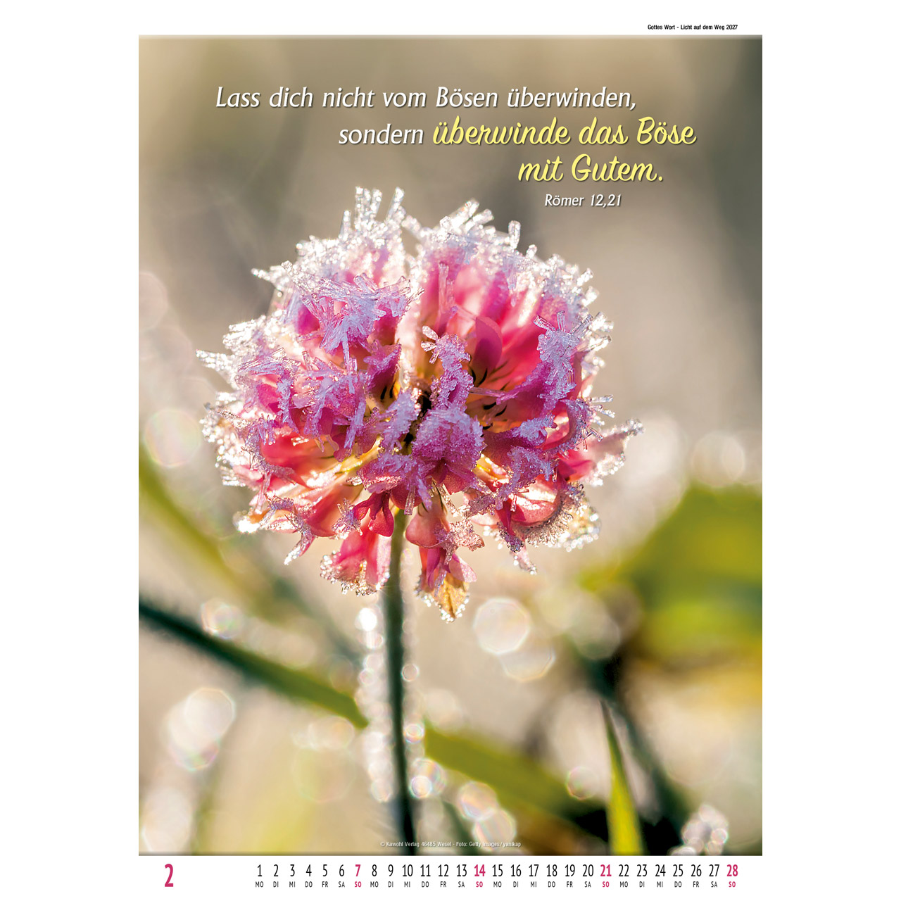 Wandkalender - Gottes Wort - Licht auf dem Weg 2027