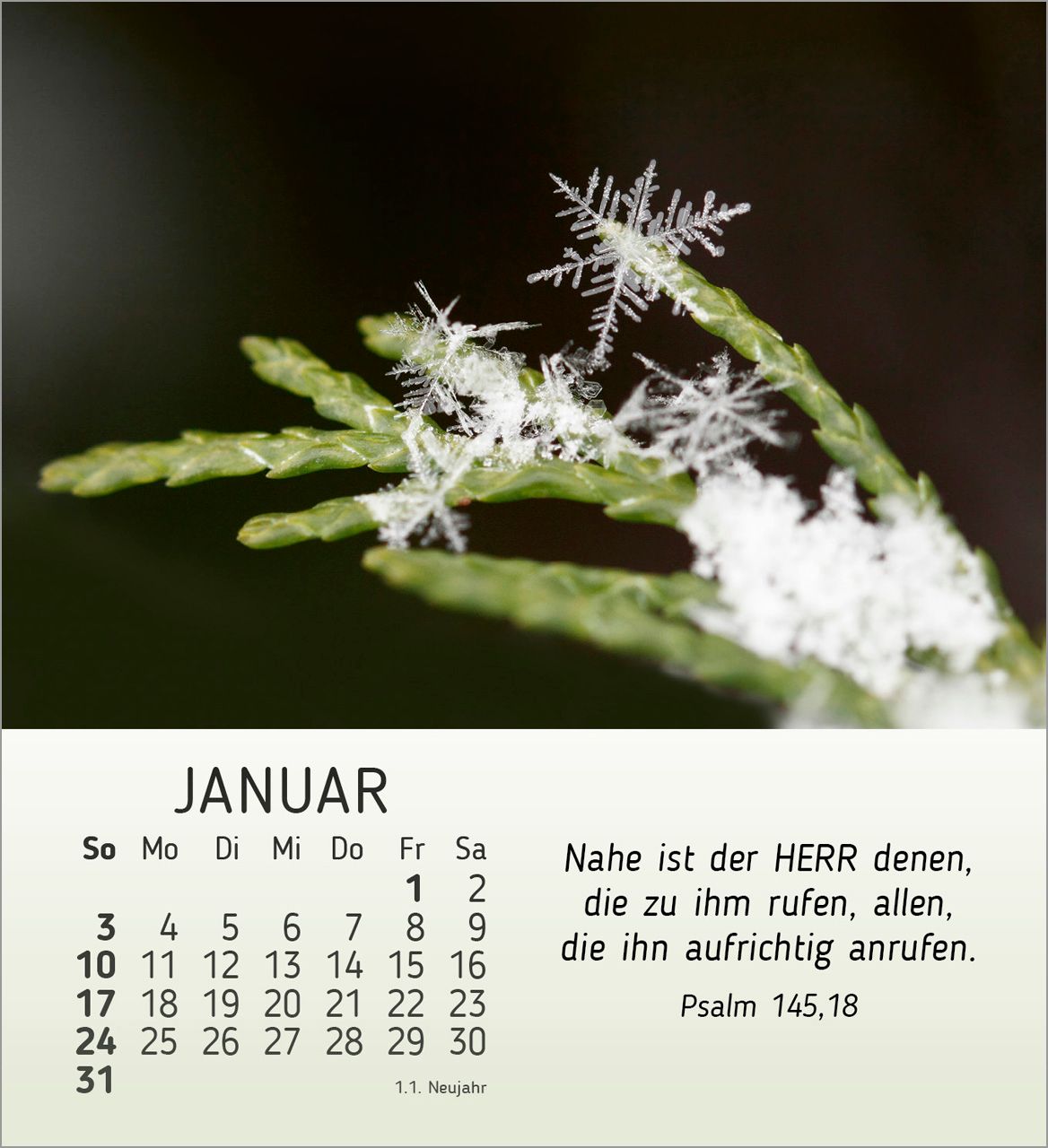 Tischkalender - Stille Begegnungen 2027