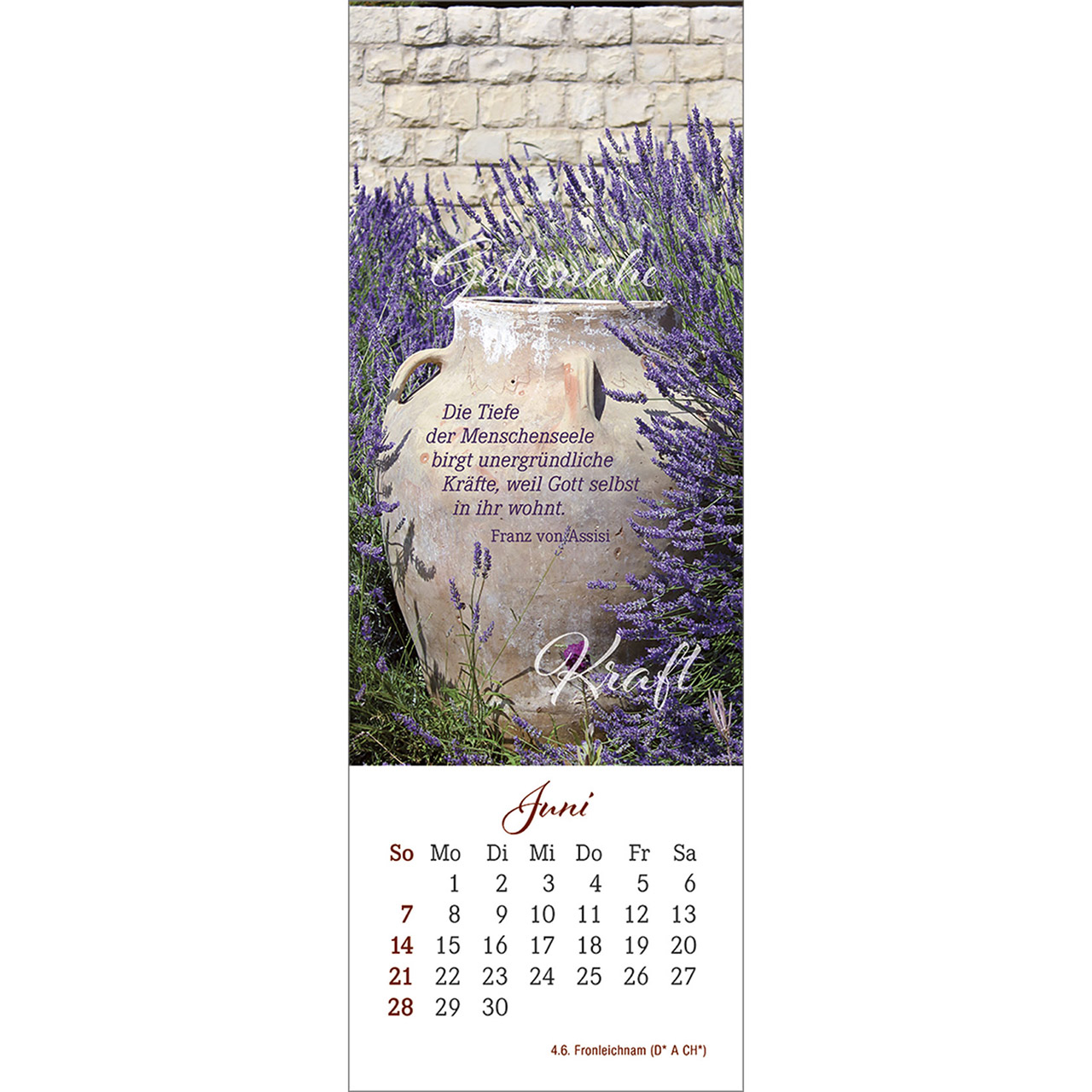 Lesezeichenkalender - Den Augenblick genießen 2026