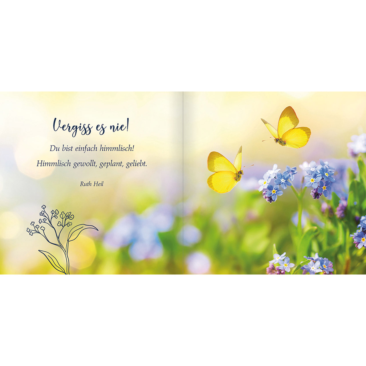 Geschenkbuch - Ganz wundervoll du - Blumenwiese Wildblumen Schmetterlinge
