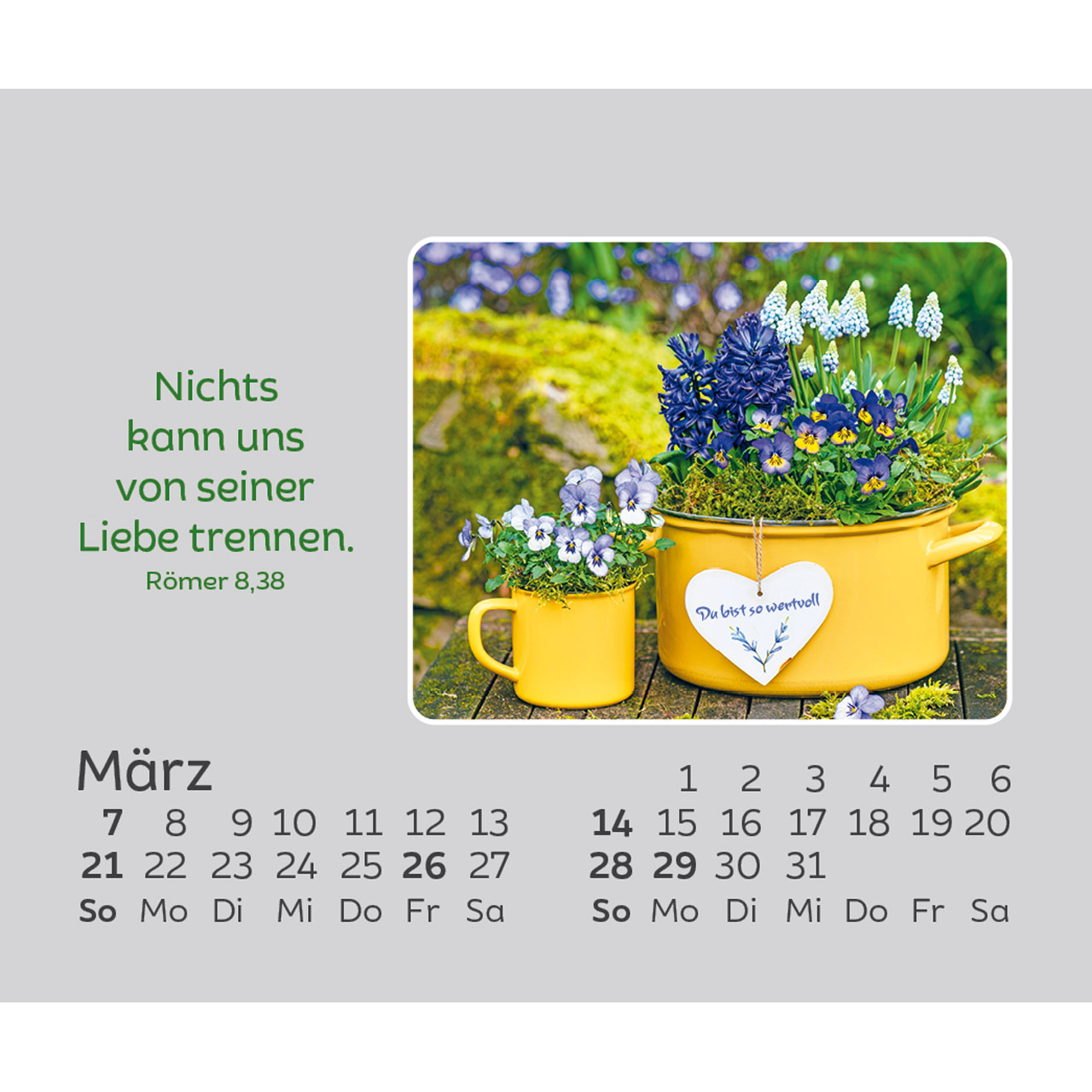 Aufstellkalender - Freude für jeden Tag 2027