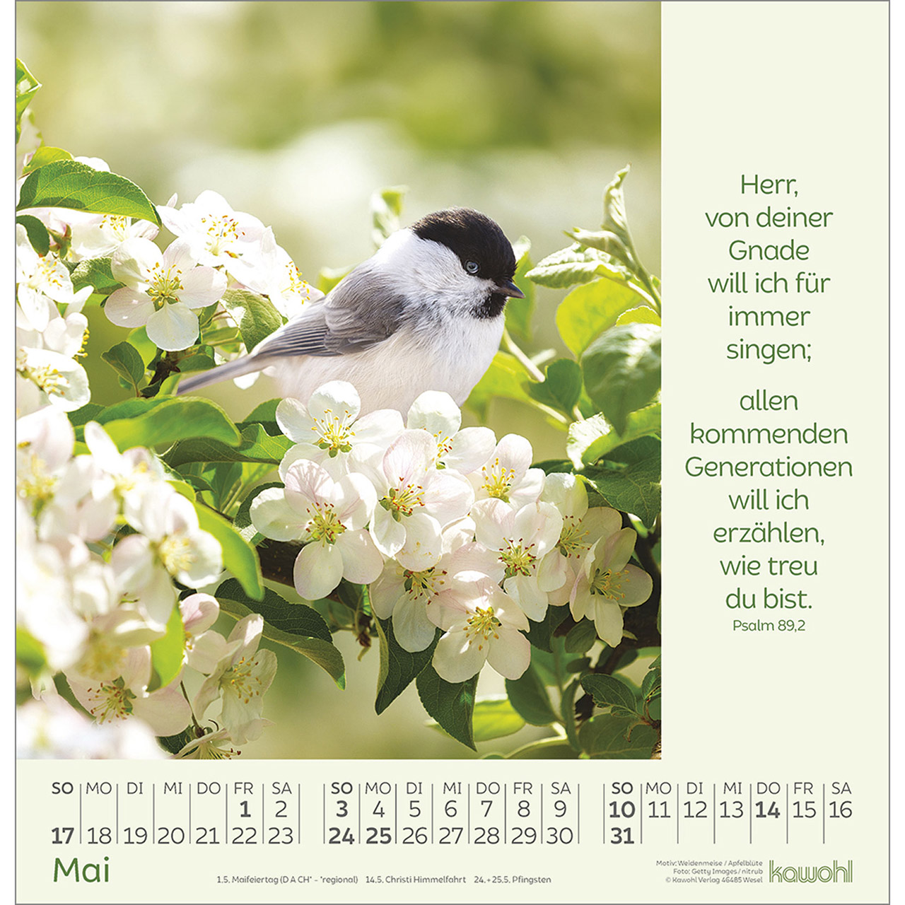 Wandkalender - Blumengrüße 2026