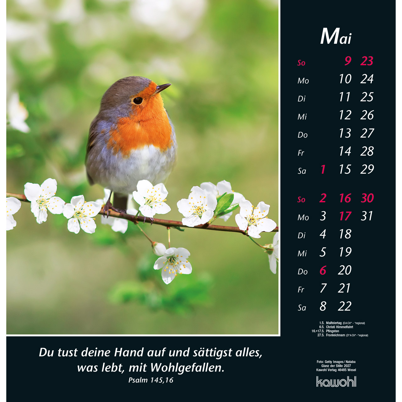 Wandkalender - Glanz der Stille 2027