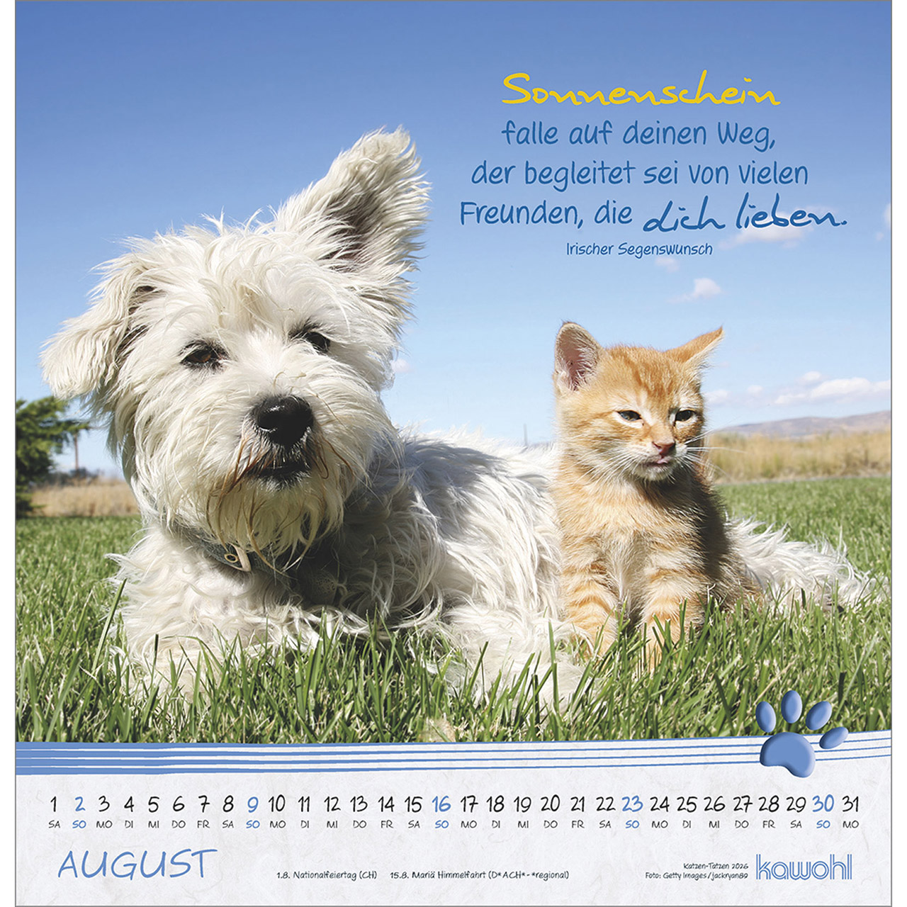 Wandkalender - Katzen-Tatzen 2026