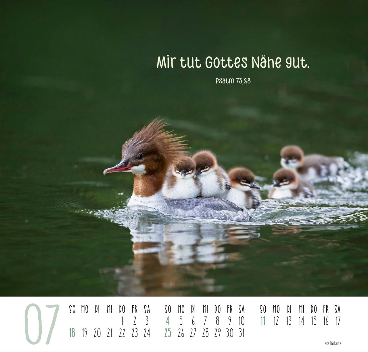 Posterkalender - Beste Freunde 2027