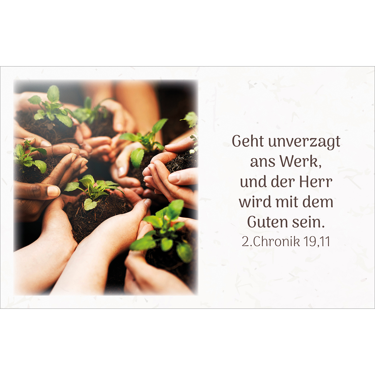 Karten-Box Kunststoff - Himmlische Zusagen - Wald Lavendel Bäume Weg