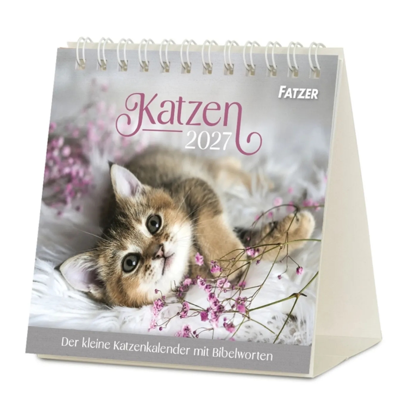 Tischkalender - Katzen 2027