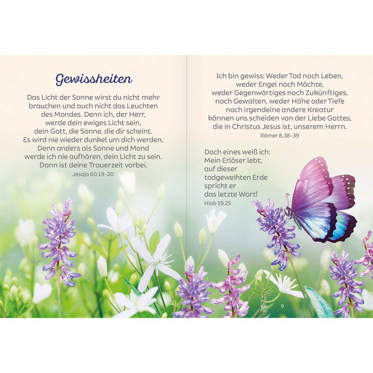 Grußheft - Du bist mein Trost - Seerose