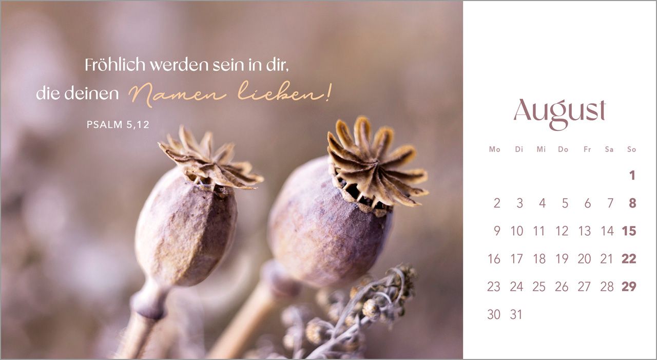 Postkartenkalender - Augenblicke der Anbetung 2027
