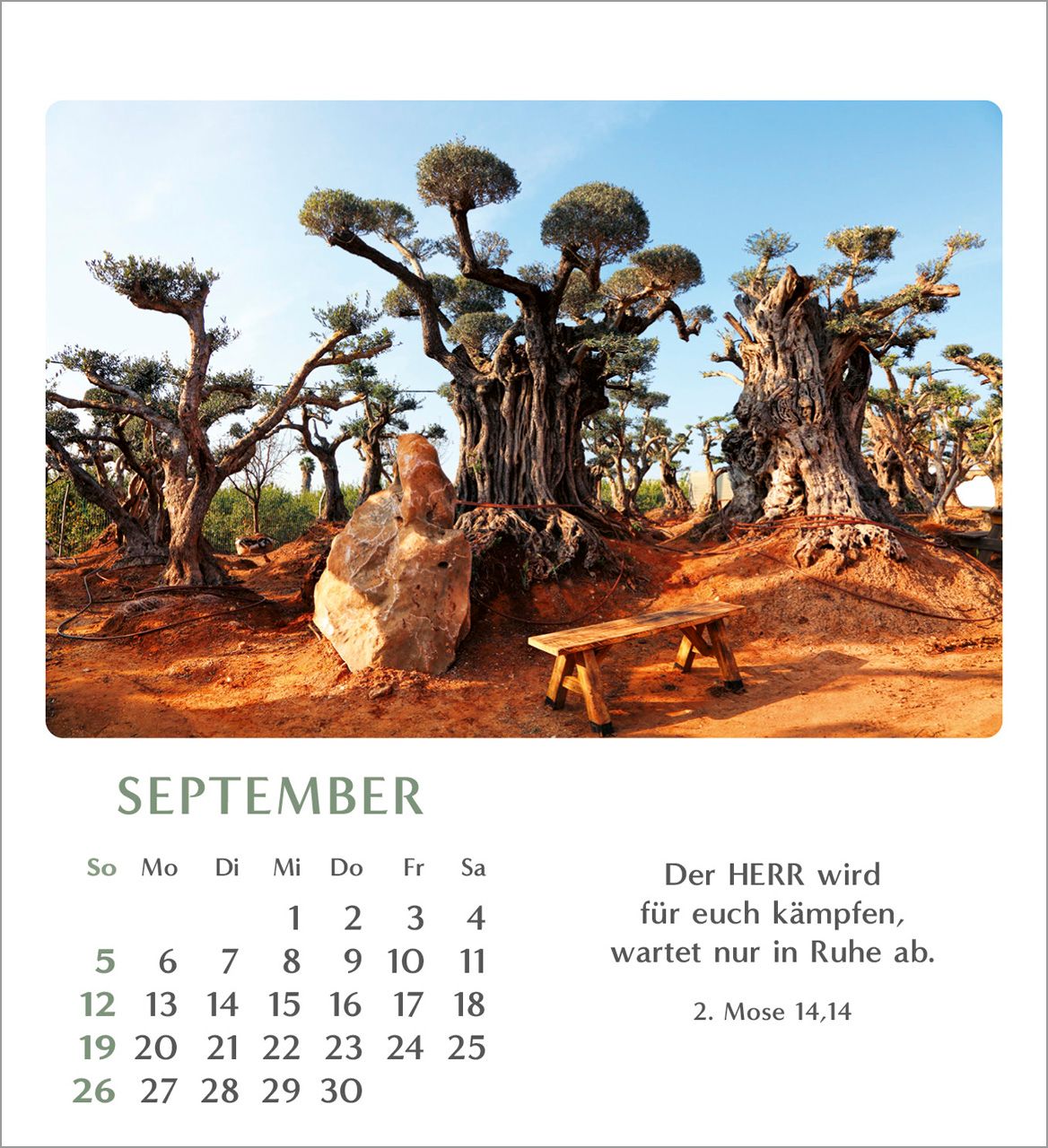 Tischkalender - Geliebtes Israel 2027