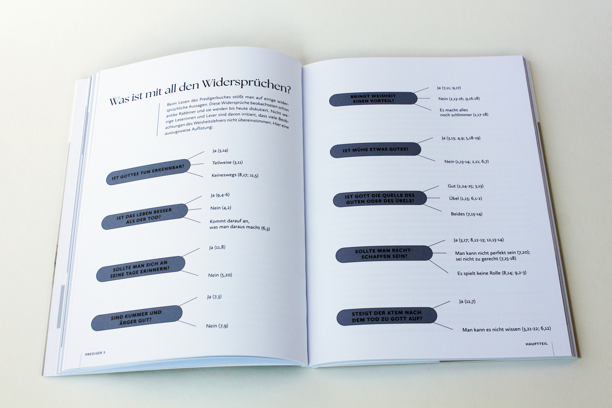 Buch - Das Bibellesebuch zu Prediger