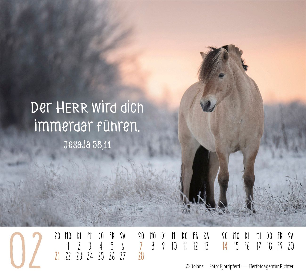 Aufstellkalender - Pferde 2027
