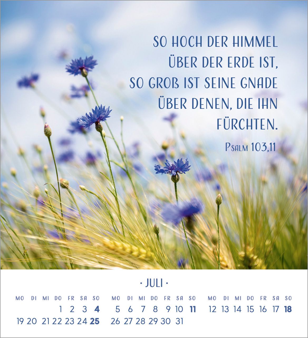 Tischkalender - Zarte Blumengrüße 2027