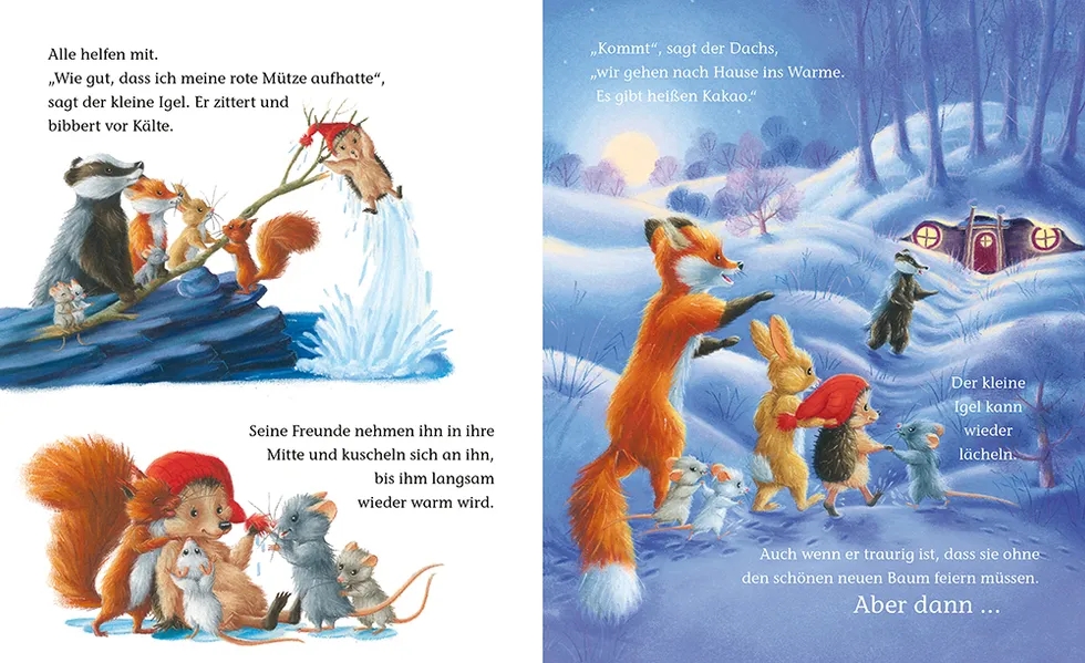 Buch - Der kleine Igel und die wahre Weihnachtsfreude