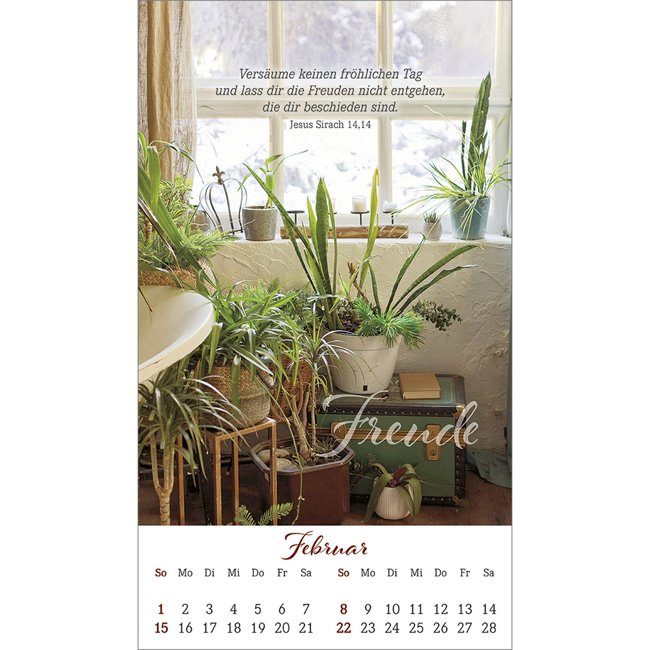Postkartenkalender - Ein Augenblick für dich 2026