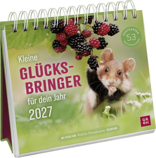 Postkartenkalender - Kleine Glücksbringer für dein Jahr 2027