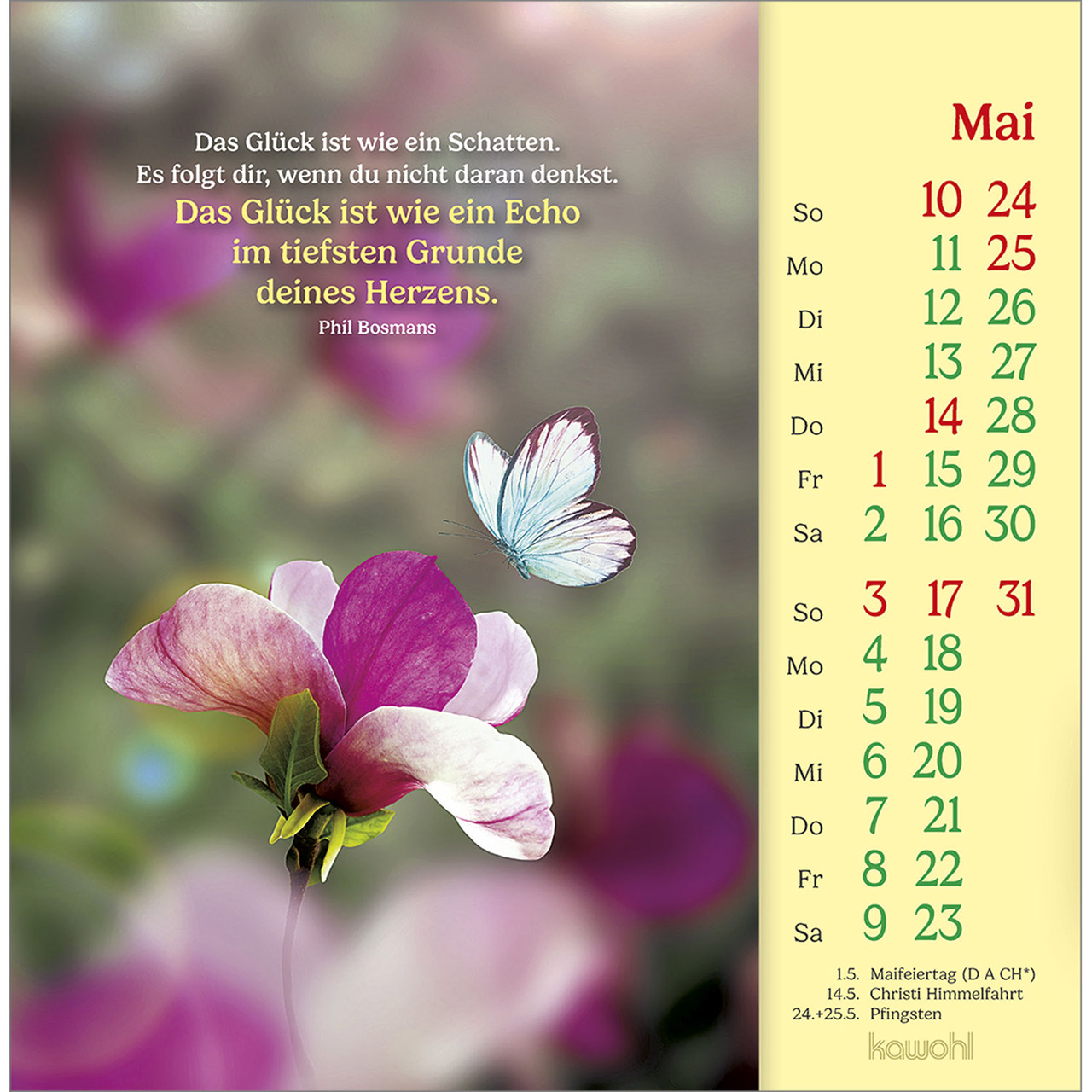 Postkartenkalender - Phil Bosmans - Postkarten-Kalender 2026