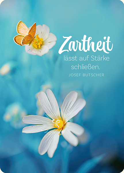 Postkarte - Postkarte 'Zartheit'