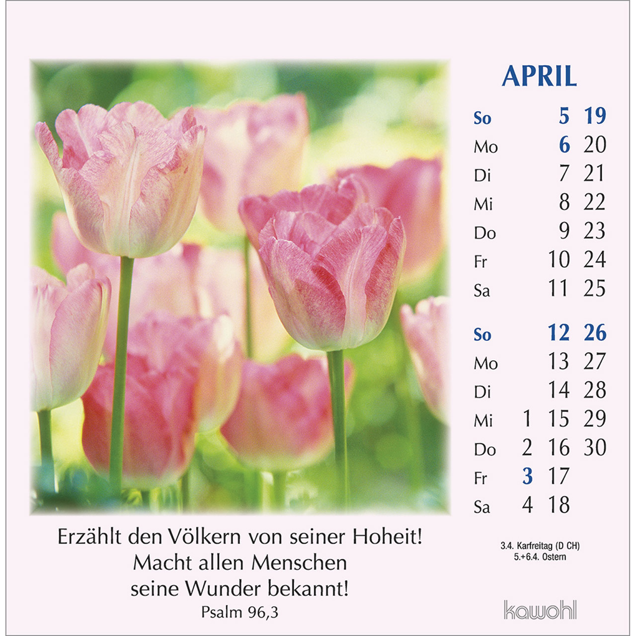 Postkartenkalender - Worte des Lebens 2026