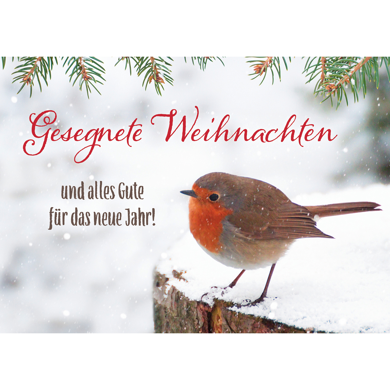 Postkarten - Gesegnete Weihnachten - Schnee Rotkehlchen Baumstamm Zweige