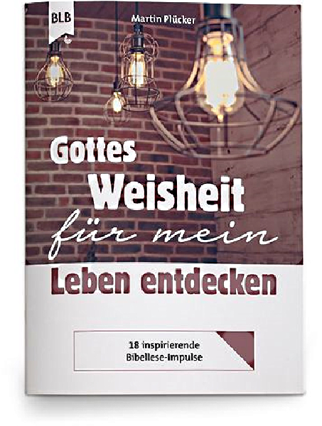 Buch - Gottes Weisheit für mein Leben entdecken - Deckenlampen Steinmauer