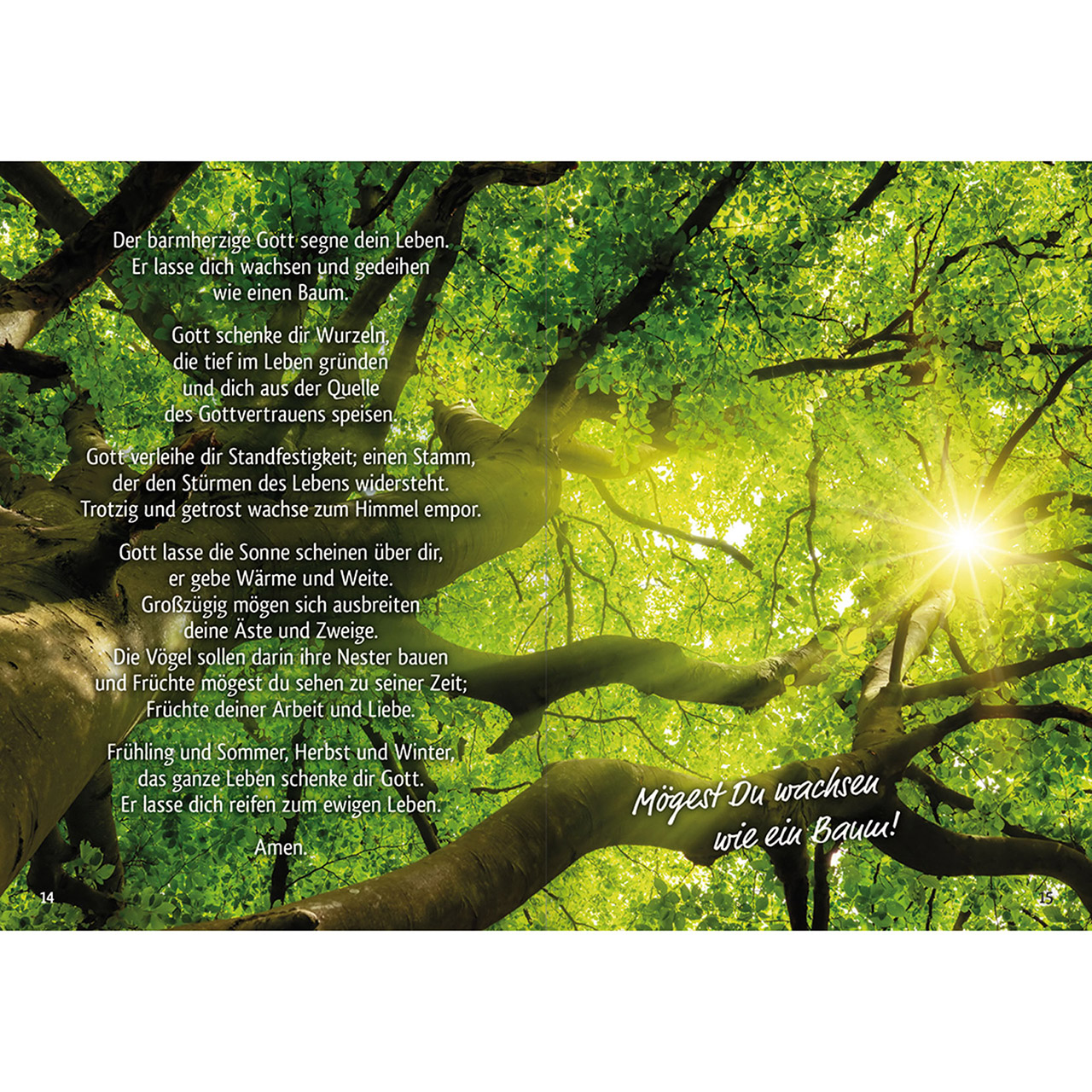 Grußheft - Starke Wurzeln wünsch ich Dir - Baum Wiese Sonne