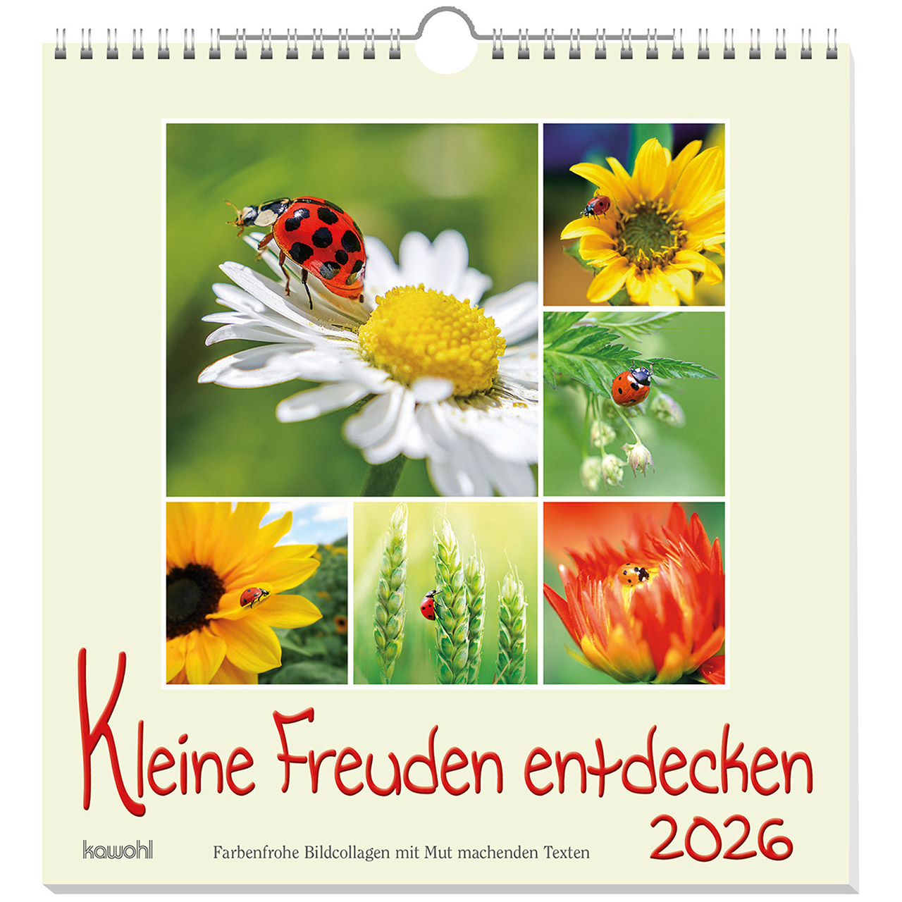 Kleine Freuden entdecken 2026