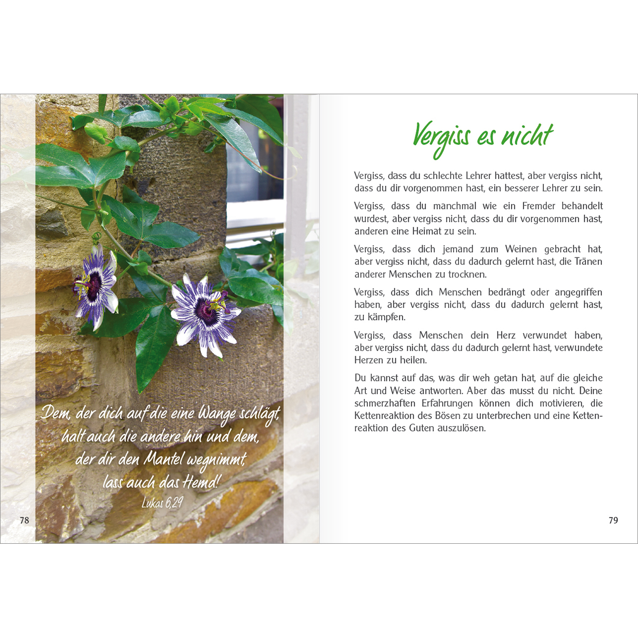 Buch - Am Brunnen - Brunnen Wasser Bäume Wiese Blumen