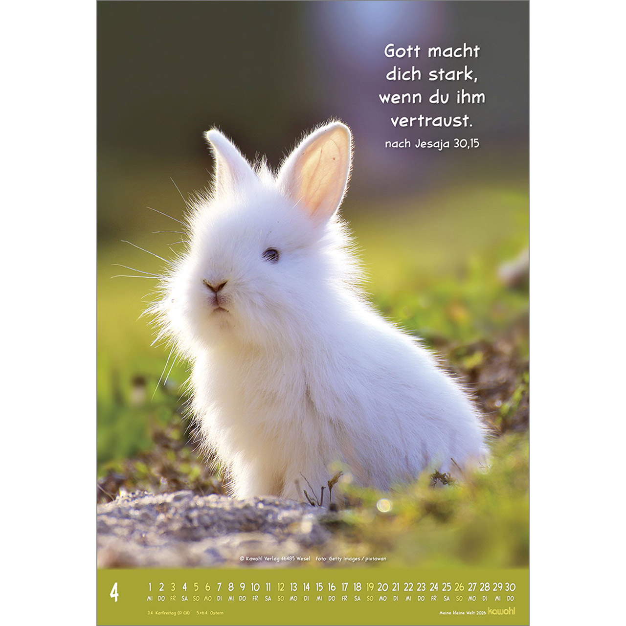 Wandkalender - Meine kleine Welt 2026