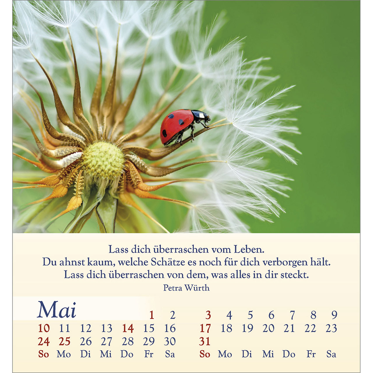 Tischkalender - Licht für deine Seele 2026