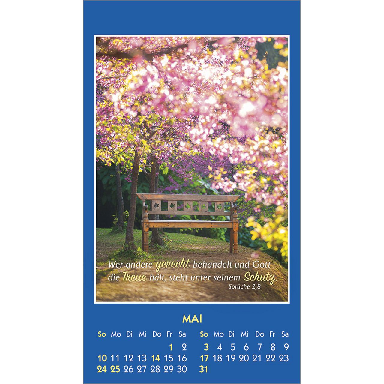 Aufkleberkalender - Gottes Wort - Licht für den Tag 2026