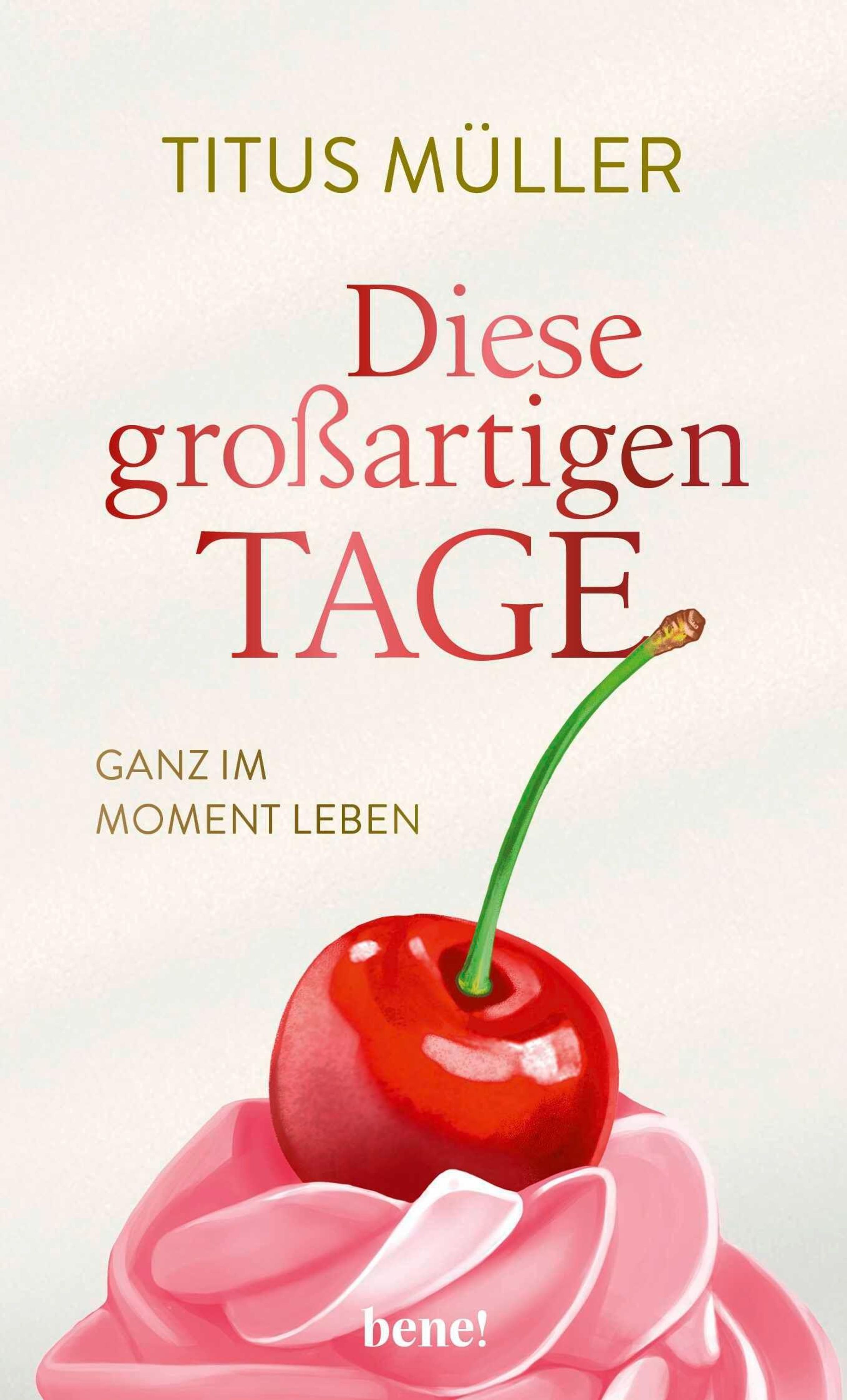 Buch - Diese großartigen Tage