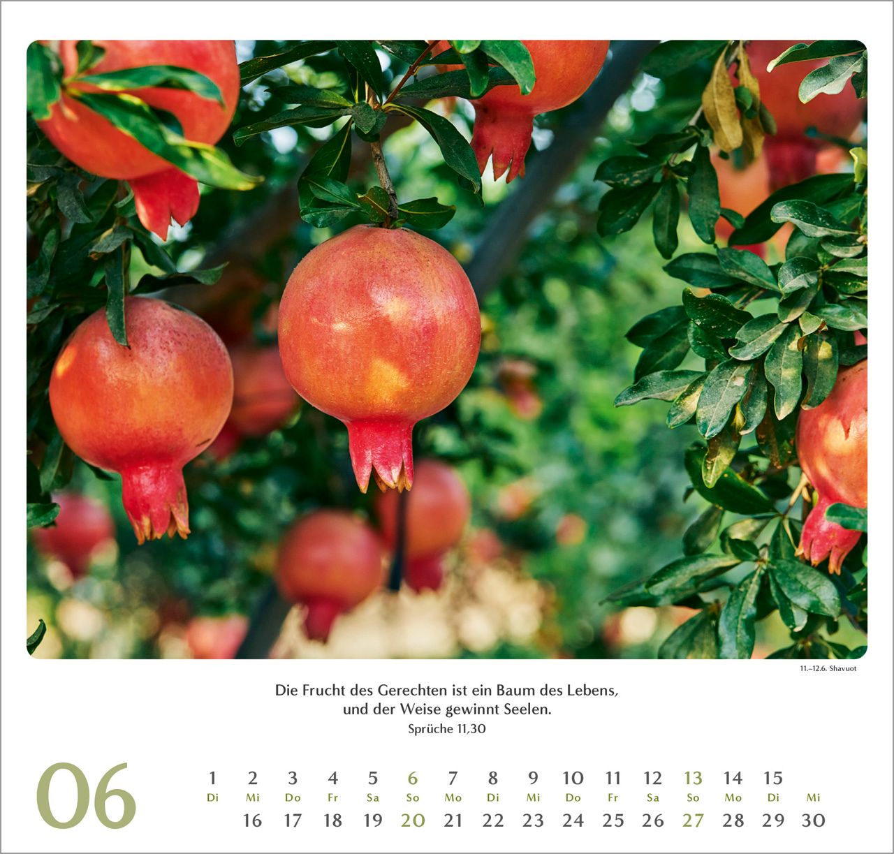 Wandkalender - Geliebtes Israel 2027 Wandkalender