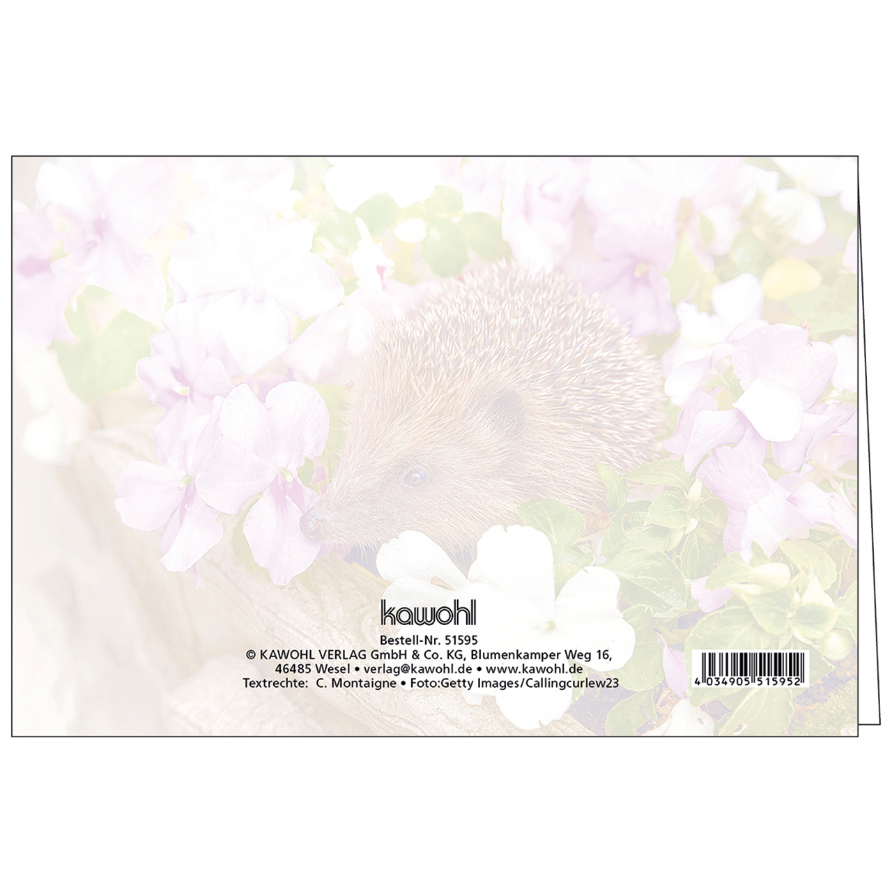 Faltkarte - Gottes Segen zum Geburtstag - Igel Blumenbeet