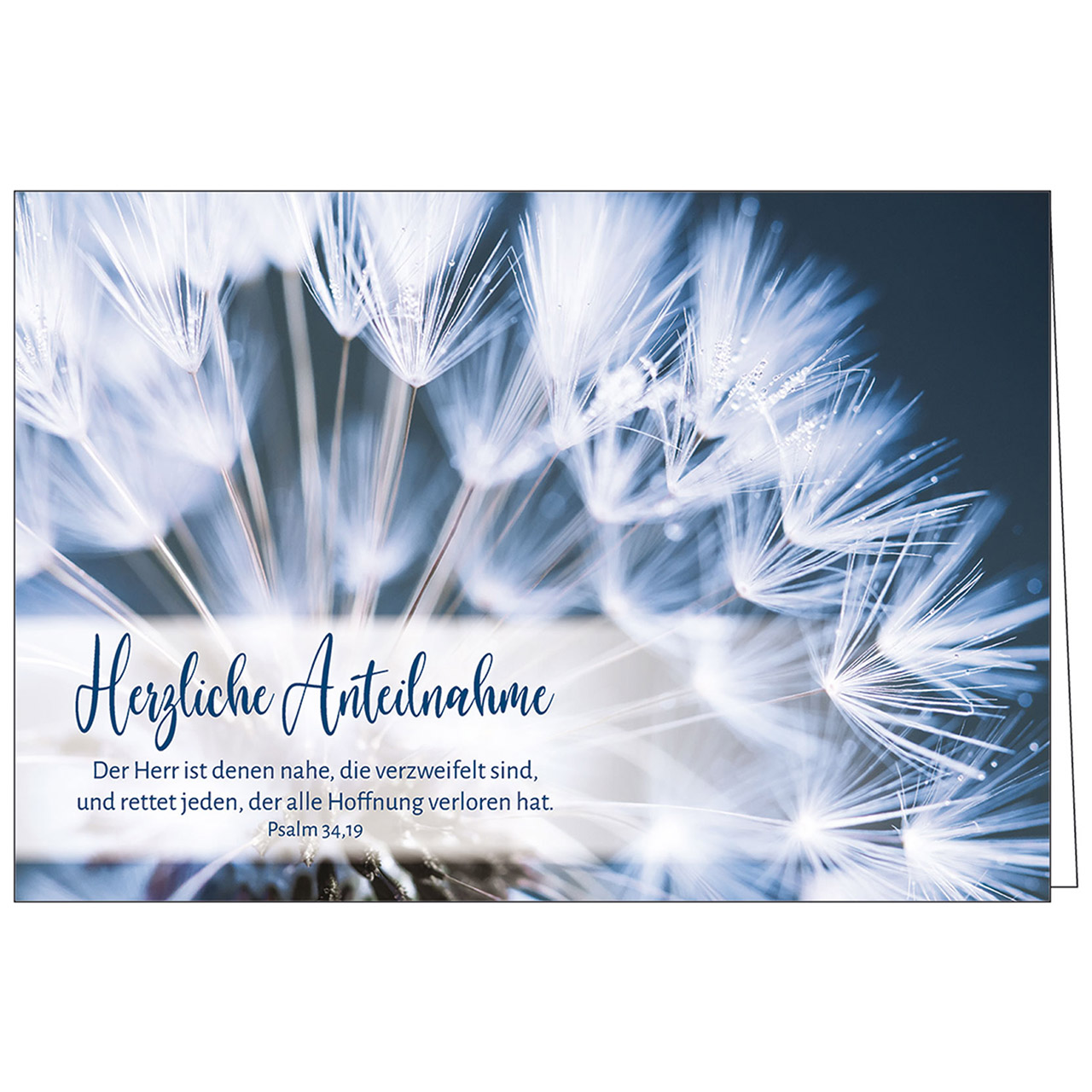 Herzliche Anteilnahme Faltkarte - Herzliche Anteilnahme - Pusteblume