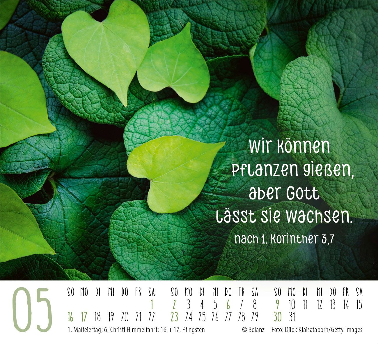 Aufstellkalender - Danke 2027 Minikalender