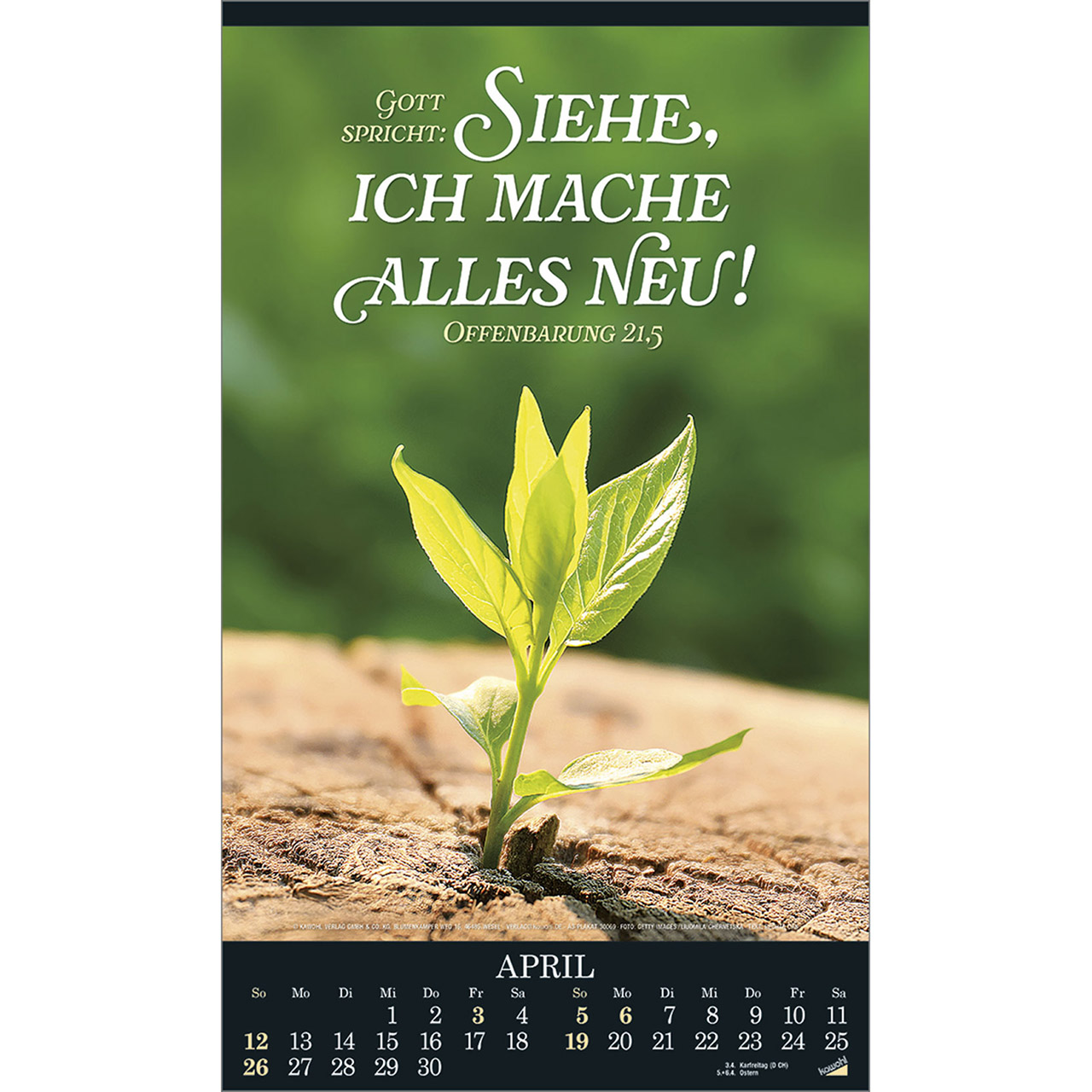 Posterkalender - Alles in uns schweige 2026