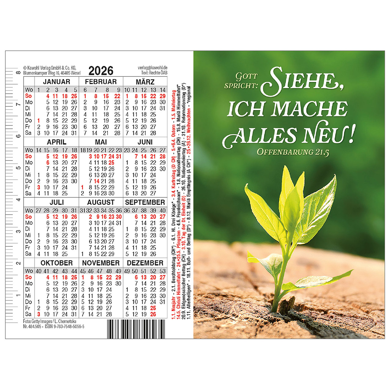 Doppel-Spielkarten-Kalender 2026 Spielkartenkalender - Doppel-Spielkarten-Kalender 2026 - Pflanze Trieb Sprössling grün jung Erde