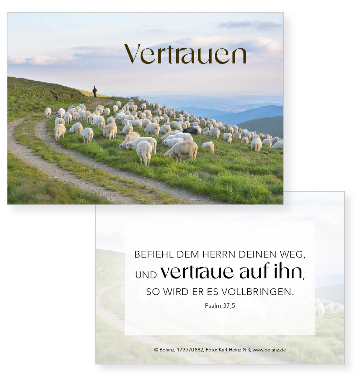 Karten-Box Papier - Neujahrslose "Der Herr ist mein Hirte"