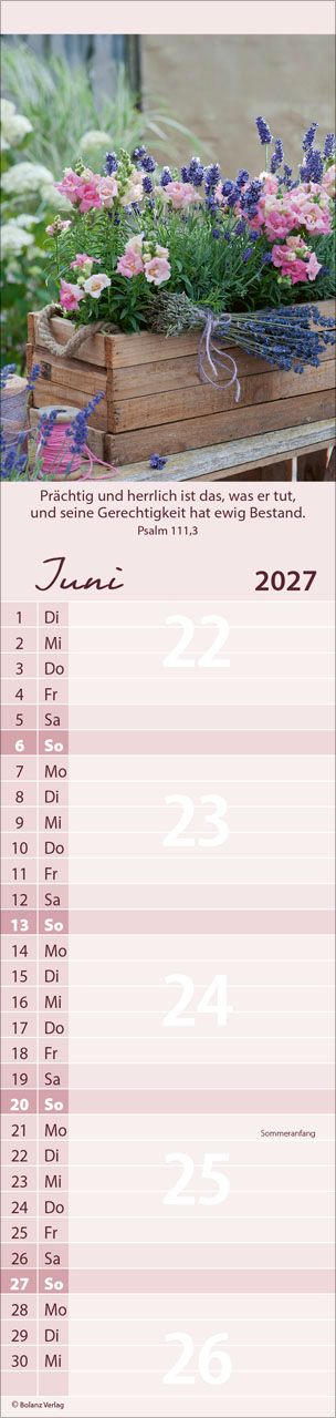 Terminkalender - Von Mir zu Dir 2027 Streifenterminkalender