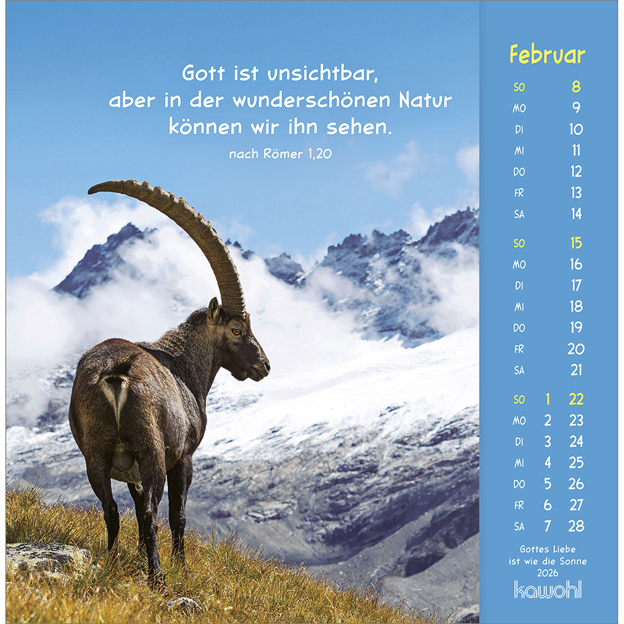 Postkartenkalender - Gottes Liebe ist wie die Sonne 2026 - Hase Kaninchen weiß