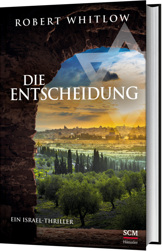 Buch - Die Entscheidung - Bäume Stadt Landschaft Wolken Sonnenstrahlen