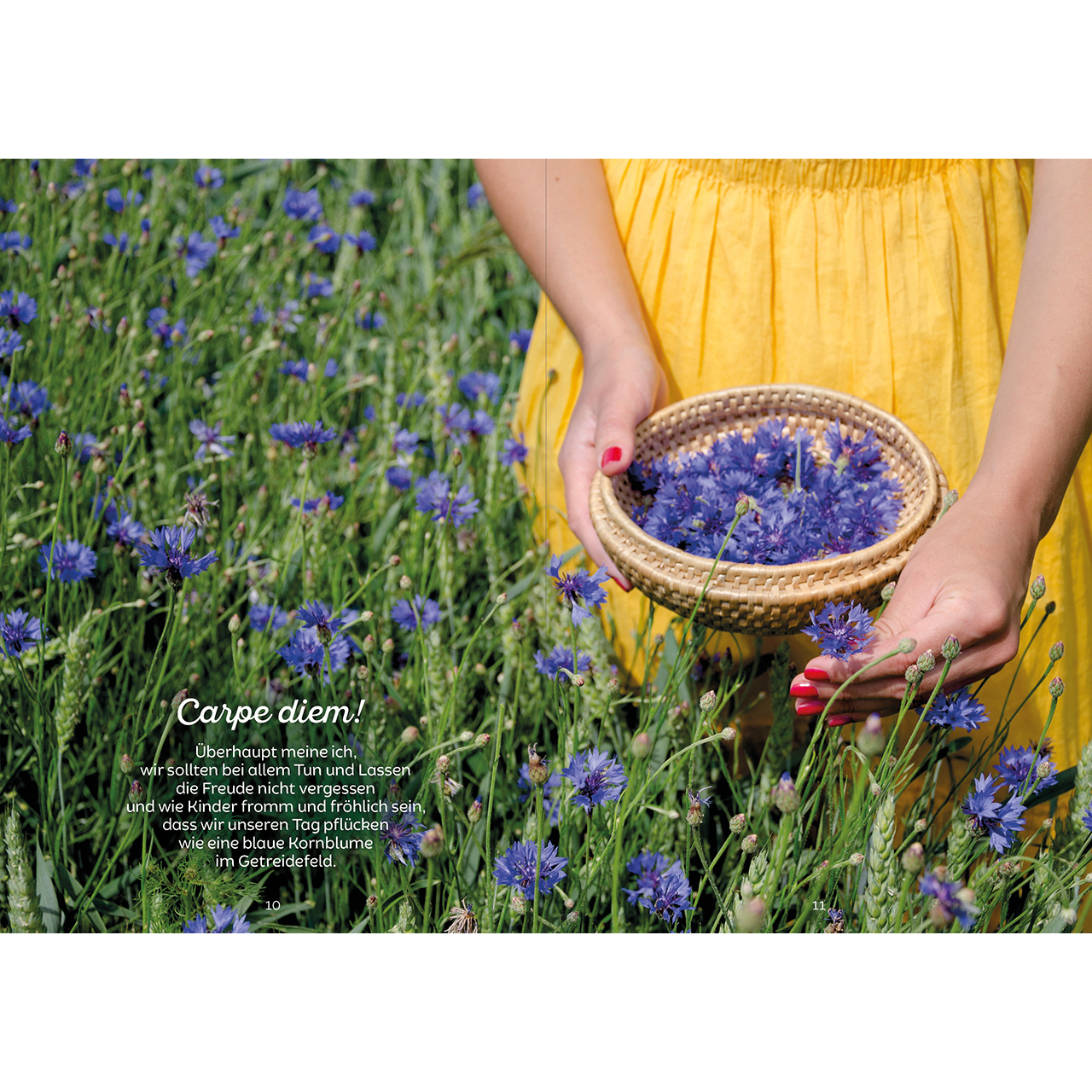 Grußheft - Alles Liebe zum neuen Lebensjahr - Kuchen Torte Blumenstrauß Happy Birthday Tisch Garten