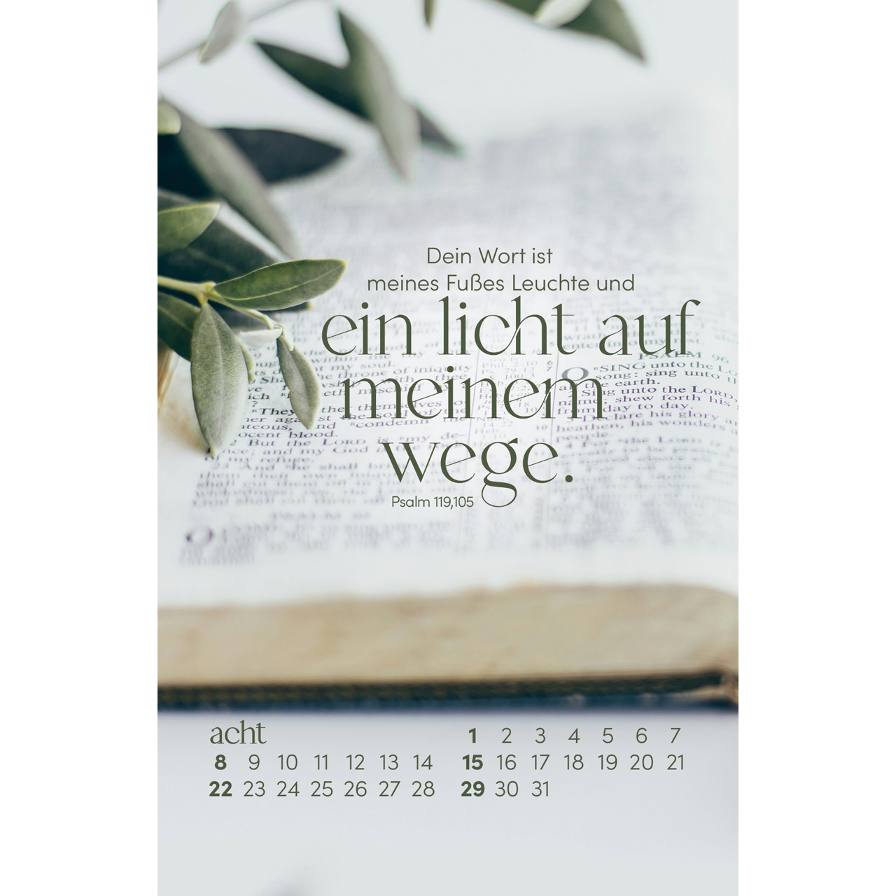 Postkartenkalender - Sein Wort. Dein Fels. 2027