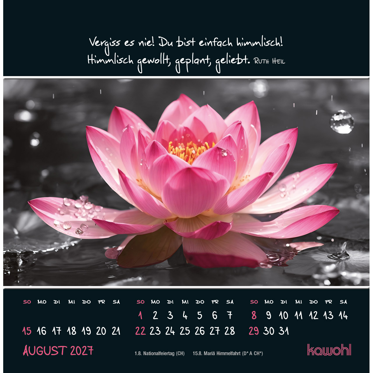 Postkartenkalender - Kleine Wunder sehen 2027