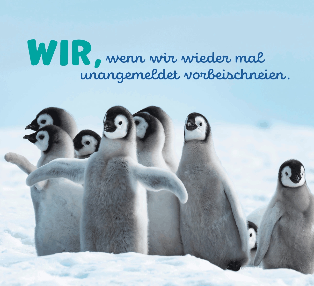 Aufstellbuch - Tierisch happy jeden Tag