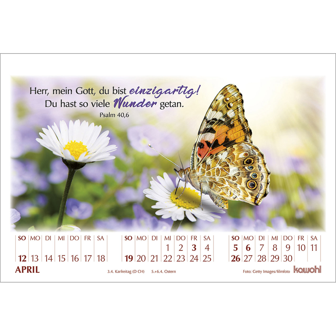 Tischkalender - In seinem Licht 2026