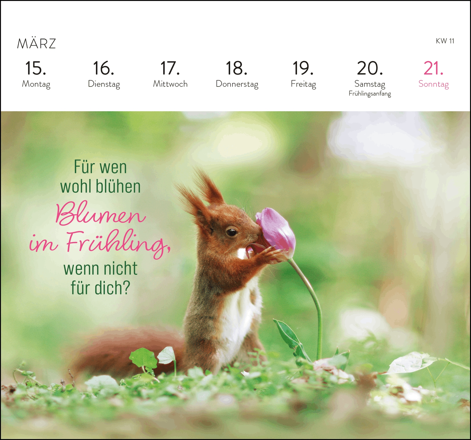 Postkartenkalender - Kleine Glücksbringer für dein Jahr 2027