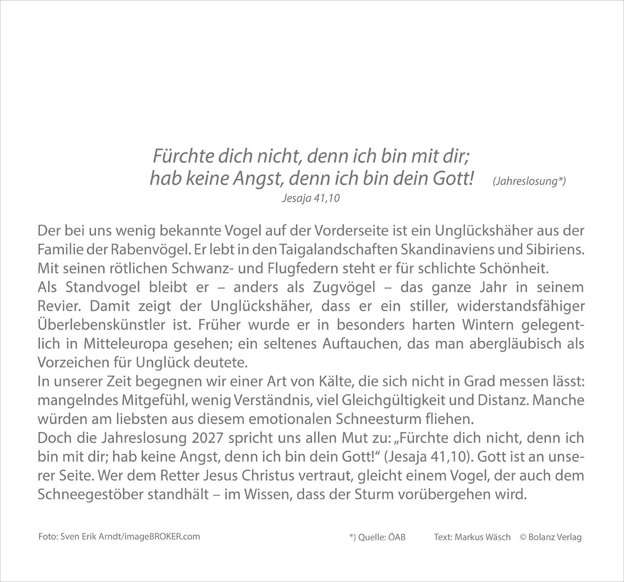 Wandkalender - Meine Zeit 2027 Wandkalender