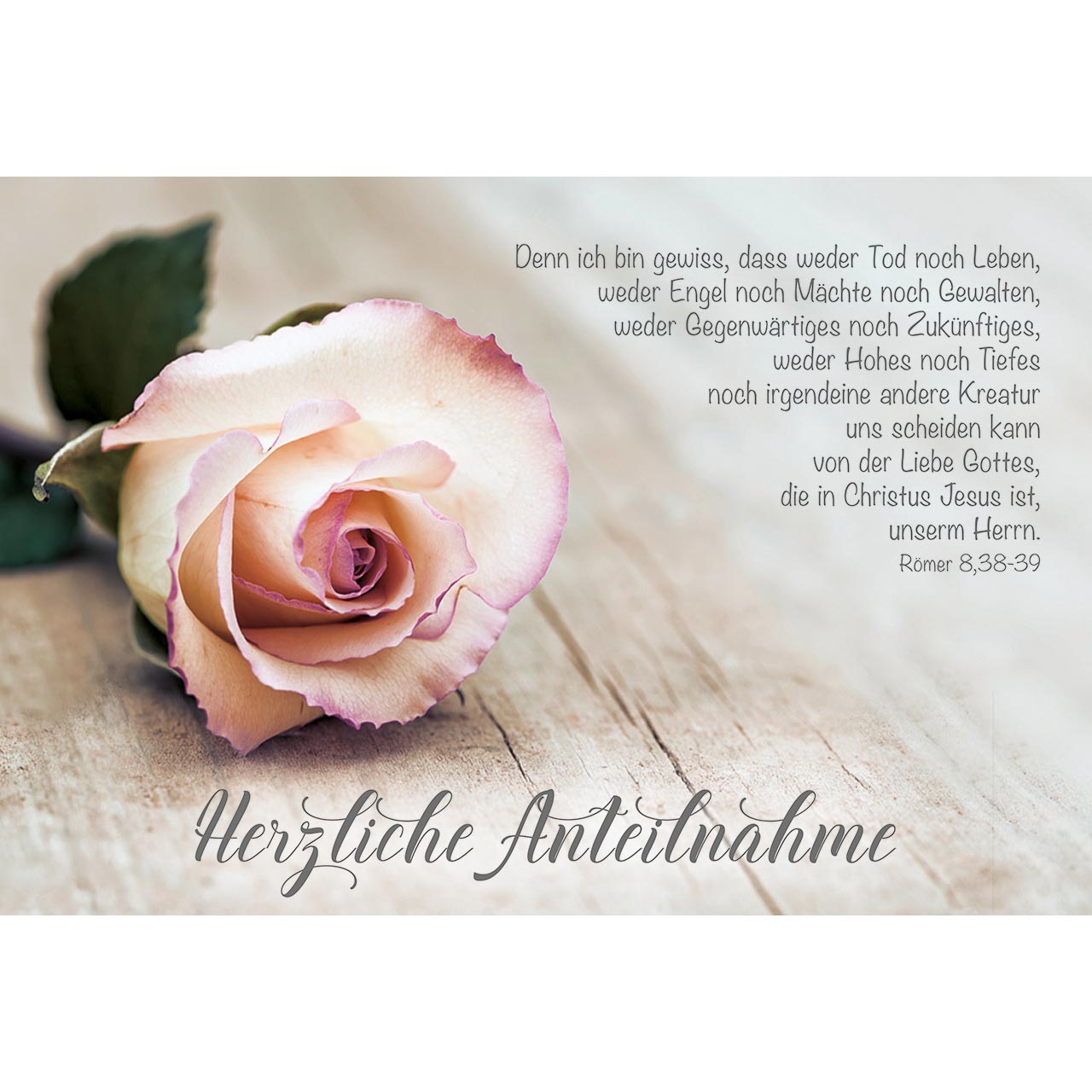 Faltkarte - Herzliche Anteilnahme - rosa Rose